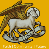 stlukeox 165